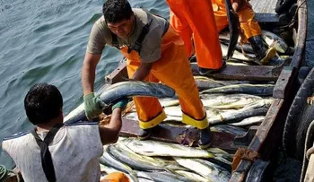 59 pescadores dominicanos detenidos en Jamaica, porque no pueden pagar multa de US$11MM