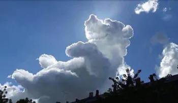 Winnie The Pooh; en el cielo? Curiosa foto se vuelve viral