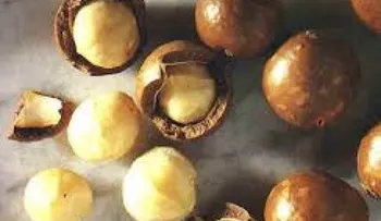 La Macadamia, real reina de las nueces