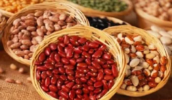 10 alimentos podrían ayudarte a esculpir tu cuerpo