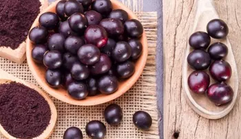 Açai berry, la fruta de la juventud con poderes antioxidantes y para reducir de peso