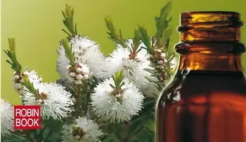 El aceite del árbol del té: Grandísimas propiedades para la belleza y la salud 