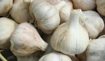Toma nota: Los 7 auténticos superalimentos 
