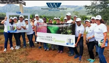 Despacho Legal celebra 11 años con jornada de reforestación