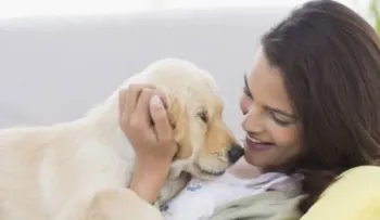 Estos son los beneficios de esterilizar a nuestras mascotas