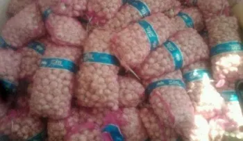 Armada se incautan de 233 sacos de ajo procedente de Haití   