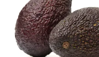 Cáscaras de palta: usos prácticos y sostenibles en el hogar