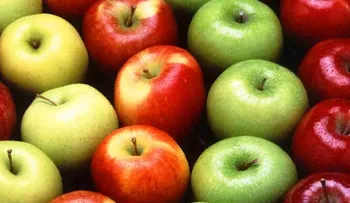 Sabías que las manzanas son el nuevo viagra femenino