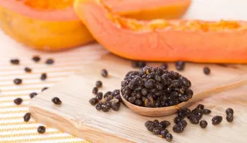 Semilla de papaya para la salud renal, hepática y digestiva