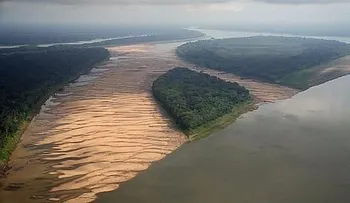 "Nos quedamos todos atónitos": Gran descubrimiento en las profundidades del Amazonas