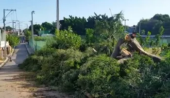 Un ventarrón provoca un caos en Santiago Rodríguez