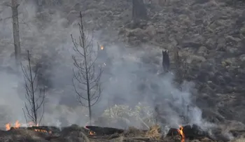 Controlan incendio forestal en Valle Nuevo tras 36 horas de labores