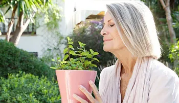 4 hierbas que protegen del alzheimer, depresión y ansiedad