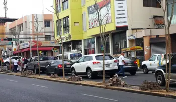 Critica siembra de árboles  en la avenida  Las Carreras