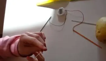 Ilumina una habitación por 40 días con una sola papa o patata. Imperdible