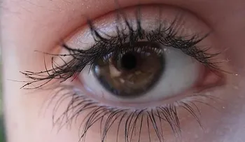 Los ojos marrones crean más confianza que los azules