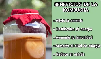 La kombucha previene el ENVEJECIMIENTO: 6 propiedades curativas que no te puedes perder