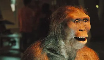 Logran determinar cómo murió la â??madre de la humanidadâ?