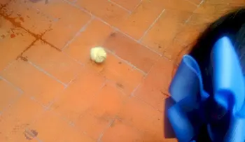  Por salvar una gallina: Muere asimilado militar y dos resultan heridos