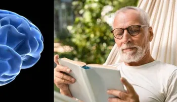 El cerebro humano rinde más entre los 55 y 60 años