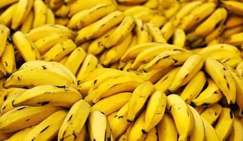  Los aguacates y los plátanos te ayudan a mantenerte más distanciado del médico 