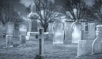 La tragicómica historia que generó compasión y que tuvo un final impactante 