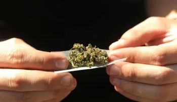 El Senado prepara proyectos para controlar uso armas de fuego y venta de alcohol