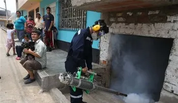 Bolivia lanza estrategia de dos años contra el zika