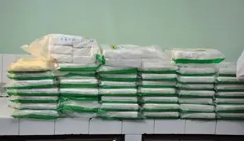 DNCD y la DEA apresan a una dominicana y a 3 puertorriqueños con 58 paquetes de cocaína