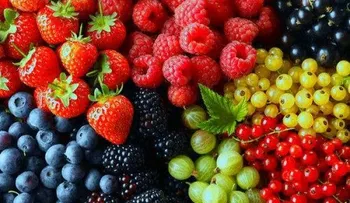 7 frutas al día ayudan a reducir en 42% riesgo de muerte