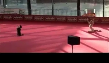 Un baile que le da la vuelta al mundo (VIDEO)