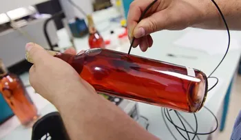 Mujer roba botella de vino para ver al novio en la cárcel