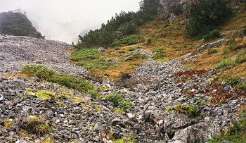 Un francotirador te está apuntando en estas fotos y no lo sabes