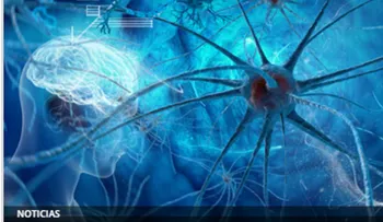 Avance científico hacia la inmortalidad: recuperan el cerebro de un animal tras ser congelado 