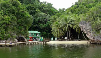 El CDP y el IPPP anuncian Tour Periodístico para Los Haitises por Sabana de la Mar