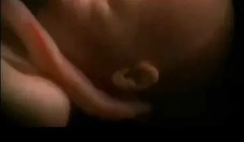 En el vientre materno: gemelos, trillizos y cuatrillizos (VIDEO)