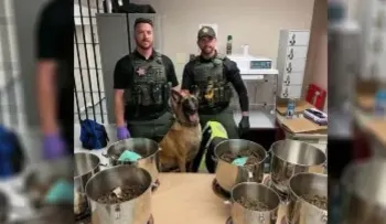Perra policía descubre casi 4.000 kilos de marihuana en ollas a presión