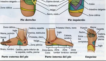 Cómo masajeando estos 6 poderosos puntos en los pies puede cambiar tu vida