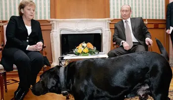 Putin explica incidente de Ángela Merkel con su perro Koni: â??No quise asustarlaâ?