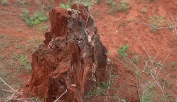 Emidom firma acuerdo de siete puntos con comunidades de Pedernales ante futura explotación de tierras raras