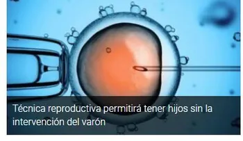 Una técnica permitirá a la mujer tener hijos sin la intervención del hombre
