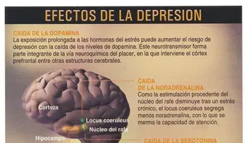 12 consejos para que no sea depresivo. Si quiere ser feliz, practica la compasión