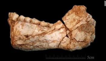 Descubren los fósiles de Homo sapiens más antiguos del mundo