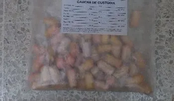 Desmantelan  red internacional y ocupan 2.2 kilos de heroína en vías digestivas de dos ecuatorianos 