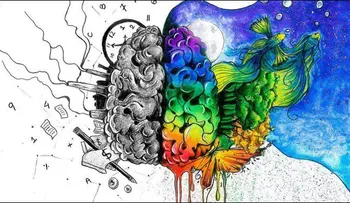 Cerebro izquierdo y derecho: qué hemisferio te domina y cómo equilibrarlos