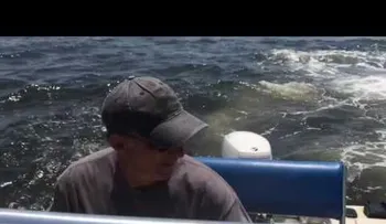 Una ballena sale a la superficie y da un tremendo susto a los tripulantes de un barco