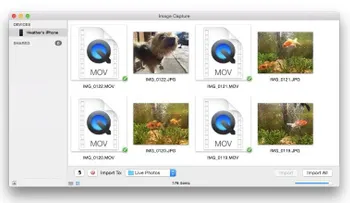 Cómo convertir las Live Photos del iPhone 6S en GIFs