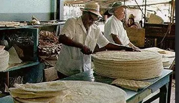 Productores de casabe piden levantar prohibición trasiego de madera