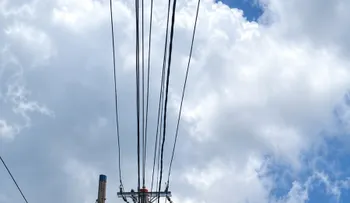 EDENORTE fortalece estabilidad energética en El Limón mediante interconexión con subestación de Samaná