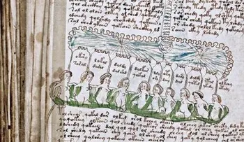 El manuscrito más viejo y extraño del mundo